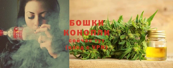 винт Гусь-Хрустальный
