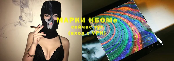 тгк Гусев