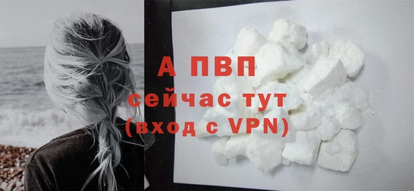 кокс Дмитров