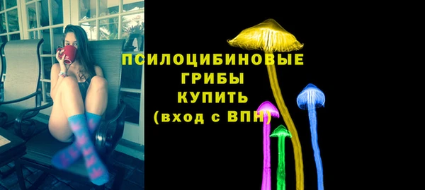 тгк Гусев