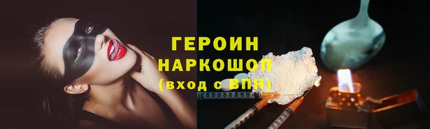 соль ск Дмитриев