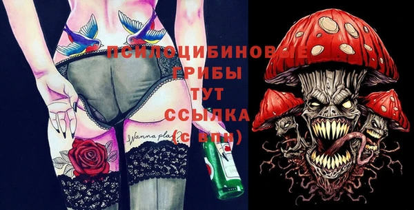 кокс Дмитров