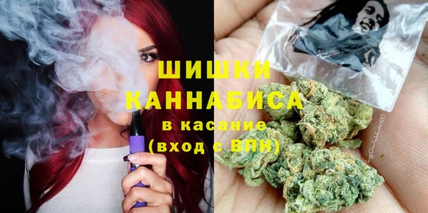тгк Гусев