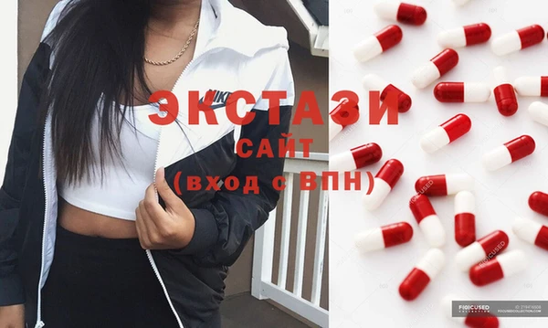 тгк Гусев