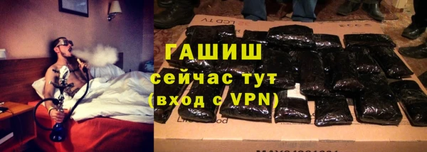 соль ск Дмитриев