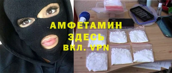 соль ск Дмитриев
