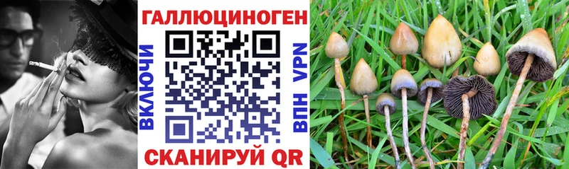 Псилоцибиновые грибы Cubensis  Купить  Шимановск 